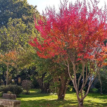 Вілла La Demeure D'Ezilda Fleac-sur-Seugne Екстер'єр фото